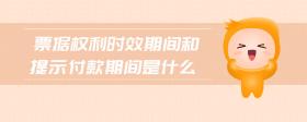 票據(jù)權(quán)利時(shí)效期間和提示付款期間是什么