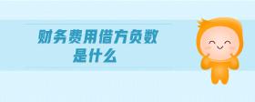 財務(wù)費用借方負數(shù)是什么