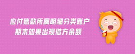 應(yīng)付賬款所屬明細分類賬戶期末如果出現(xiàn)借方余額