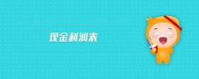 現(xiàn)金利潤(rùn)表