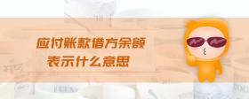 應(yīng)付賬款借方余額表示什么意思