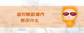 應(yīng)付賬款借方表示什么
