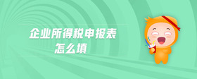 企業(yè)所得稅申報表怎么填