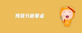 預(yù)算分析要點(diǎn)