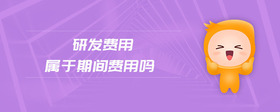 研發(fā)費用屬于期間費用嗎
