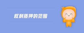 權(quán)利質(zhì)押的范圍