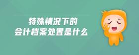 特殊情況下的會計檔案處置是什么