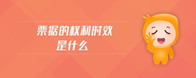 票據(jù)的權(quán)利時效是什么