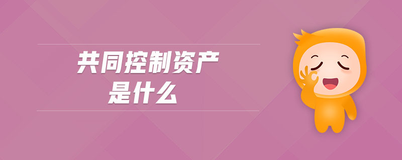 共同控制資產(chǎn)是什么