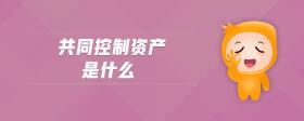 共同控制資產(chǎn)是什么