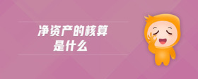 凈資產(chǎn)的核算是什么