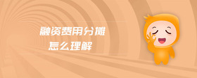 融資費(fèi)用分?jǐn)傇趺蠢斫?>
                            </div>
                            <div   id=