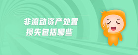 非流動(dòng)資產(chǎn)處置損失包括哪些