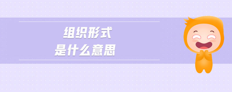 組織形式是什么意思