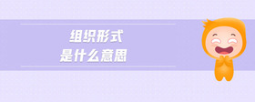 組織形式是什么意思