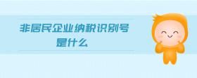 非居民企業(yè)納稅識別號是什么