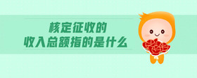 核定征收的收入總額指的是什么