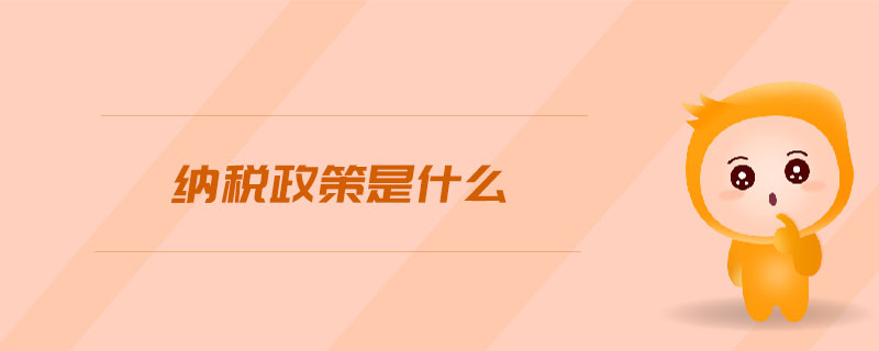 納稅政策是什么
