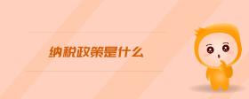 納稅政策是什么