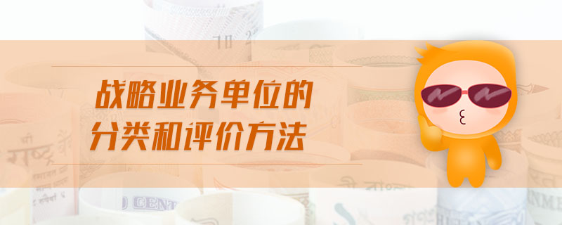 戰(zhàn)略業(yè)務(wù)單位的分類和評價方法