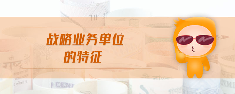 戰(zhàn)略業(yè)務(wù)單位的特征