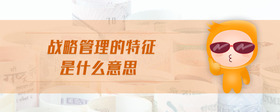 戰(zhàn)略管理的特征是什么意思
