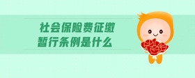 社會(huì)保險(xiǎn)費(fèi)征繳暫行條例是什么