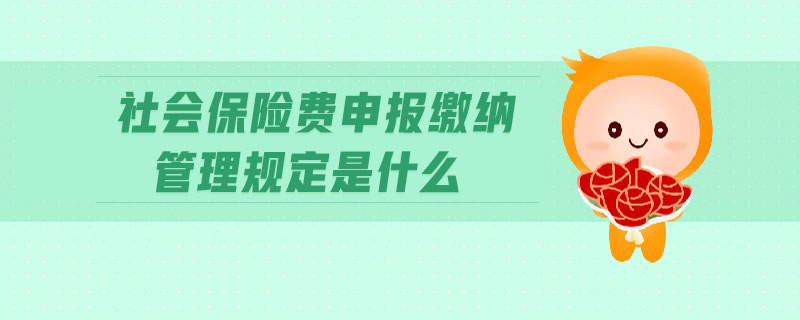 社會保險費申報繳納管理規(guī)定是什么