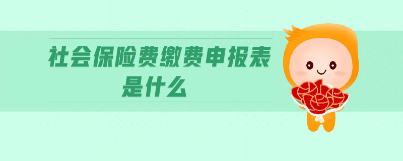 社會保險費繳費申報表是什么