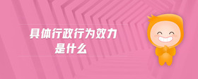 具體行政行為效力是什么