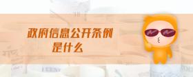 政府信息公開條例是什么
