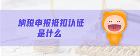 納稅申報抵扣認(rèn)證是什么