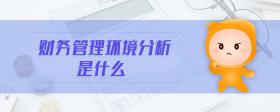 財務(wù)管理環(huán)境分析是什么