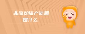 非流動資產(chǎn)處置是什么