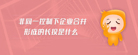 非同一控制下企業(yè)合并形成的長投是什么