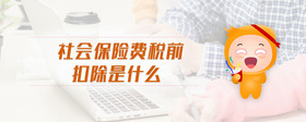 社會(huì)保險(xiǎn)費(fèi)稅前扣除是什么