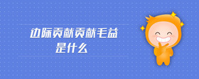 邊際貢獻(xiàn)貢獻(xiàn)毛益是什么