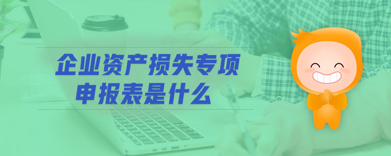 企業(yè)資產損失專項申報表是什么