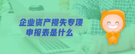 企業(yè)資產(chǎn)損失專項(xiàng)申報(bào)表是什么