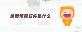 全面預(yù)算軟件是什么