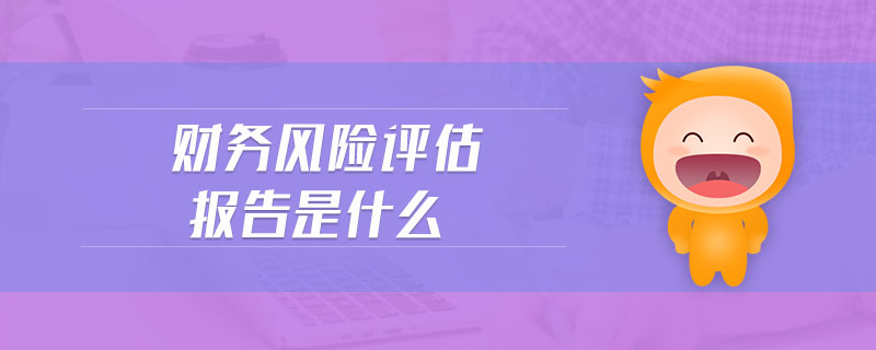 財務(wù)風(fēng)險評估報告是什么