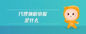 代理納稅申報是什么