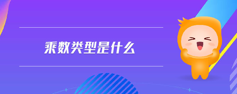 乘數(shù)類型是什么