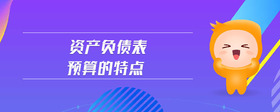 資產(chǎn)負債表預算的特點