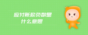 應(yīng)付賬款負(fù)數(shù)是什么意思