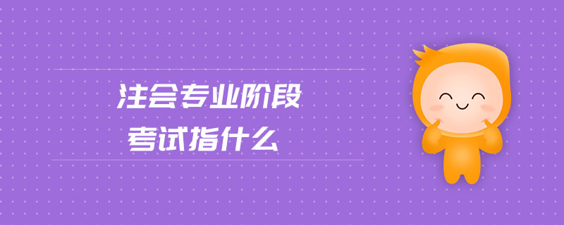 注會(huì)專(zhuān)業(yè)階段考試指什么