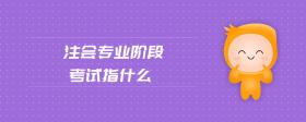 注會專業(yè)階段考試指什么