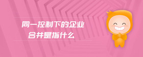同一控制下的企業(yè)合并是指什么