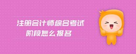 注冊會計師綜合考試階段怎么報名