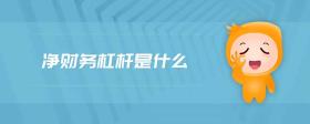 凈財務(wù)杠桿是什么